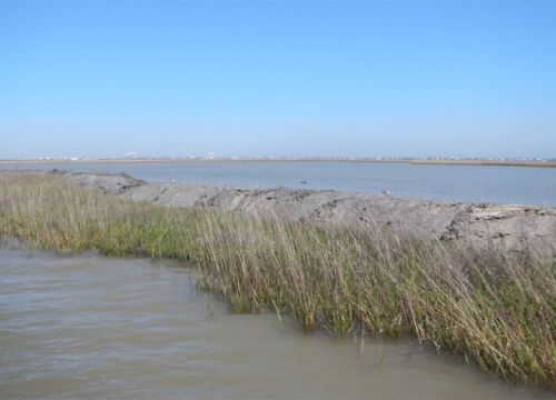5 pierce marsh containment levee construction noaa 980
