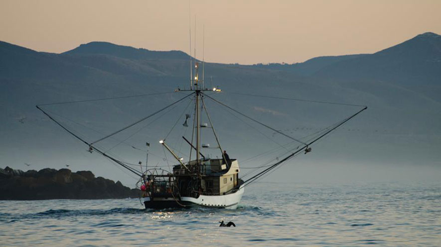Marine Reserves Could Help Make Commercial Fishing More Profitable, Environmental Policy