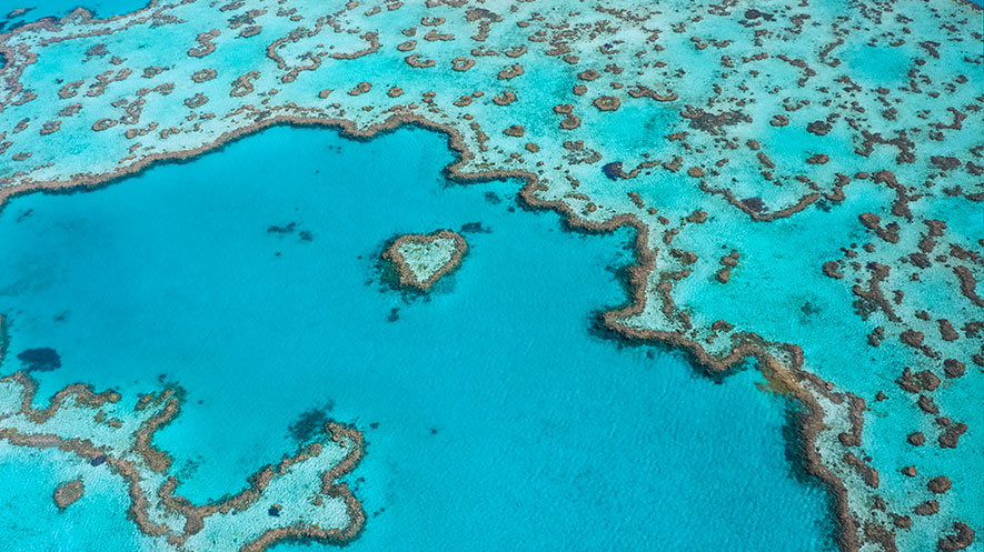 Contractors Sought for Great Barrier Reef Remediation Projects ...