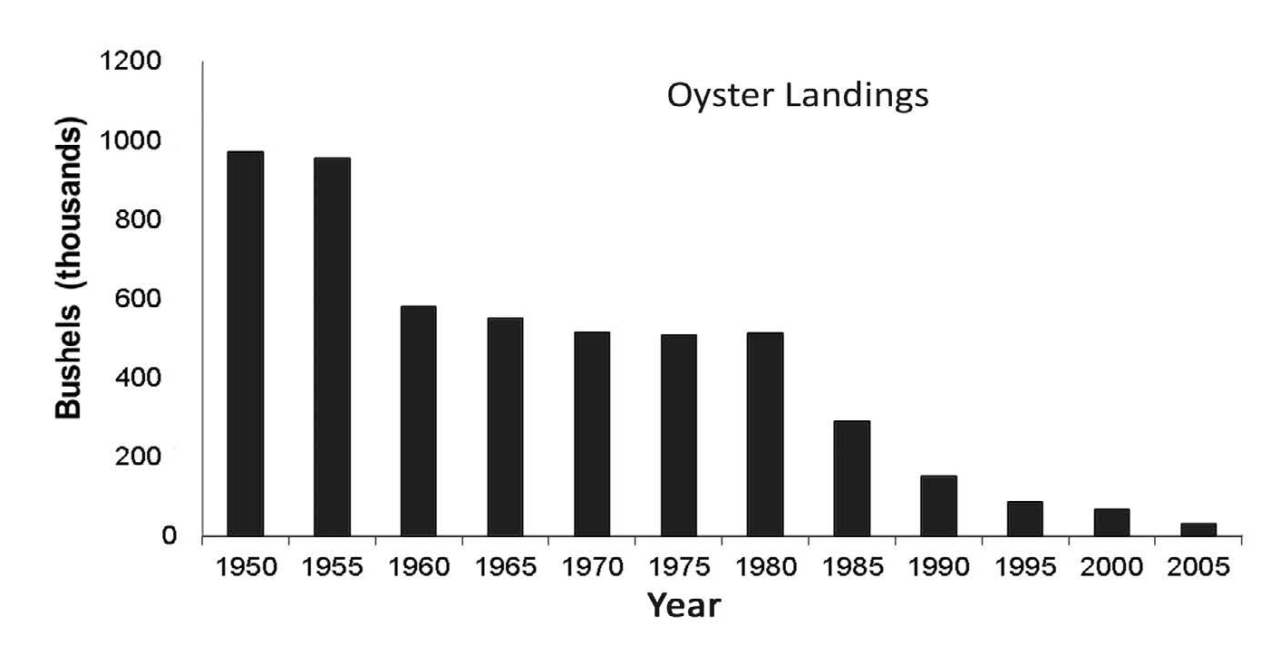 EMBED 2 oyster landings decline