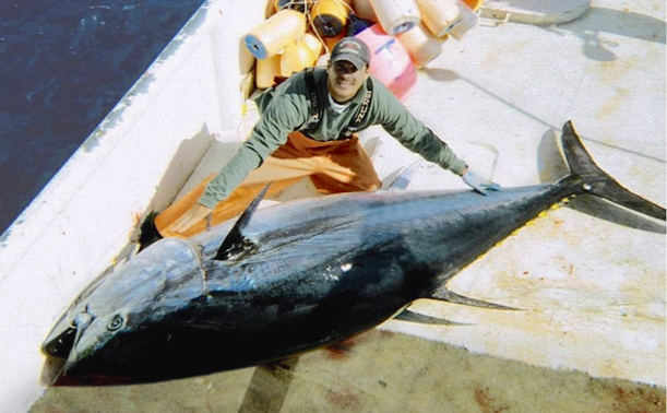 EMBED 1 Large bluefin tuna on deck