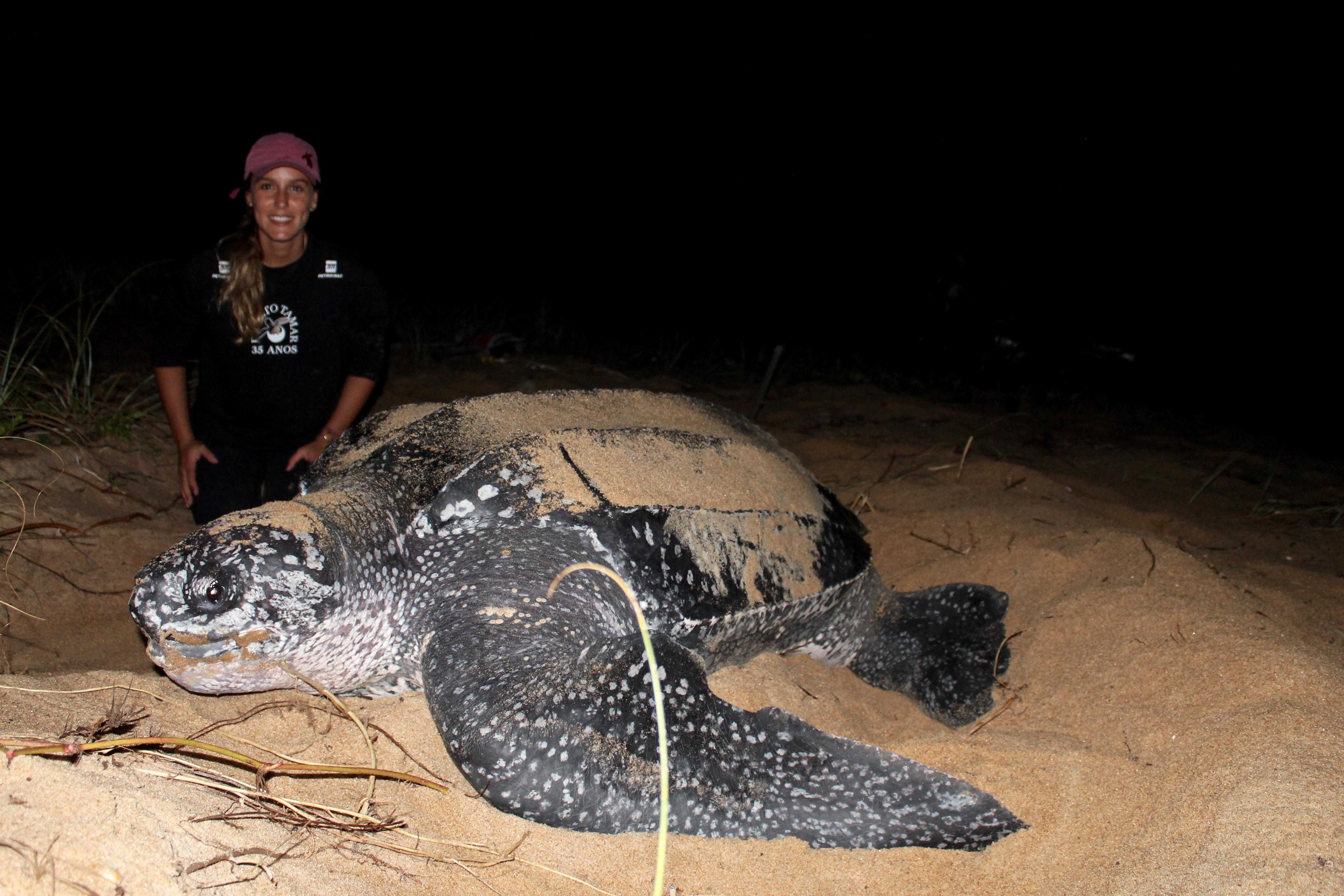 EM2 Liliana Poggio Colman with a leatherback turtle in Brazil