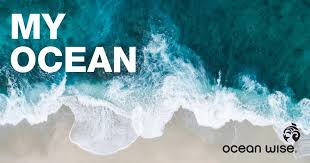 Em1 my ocean podcast
