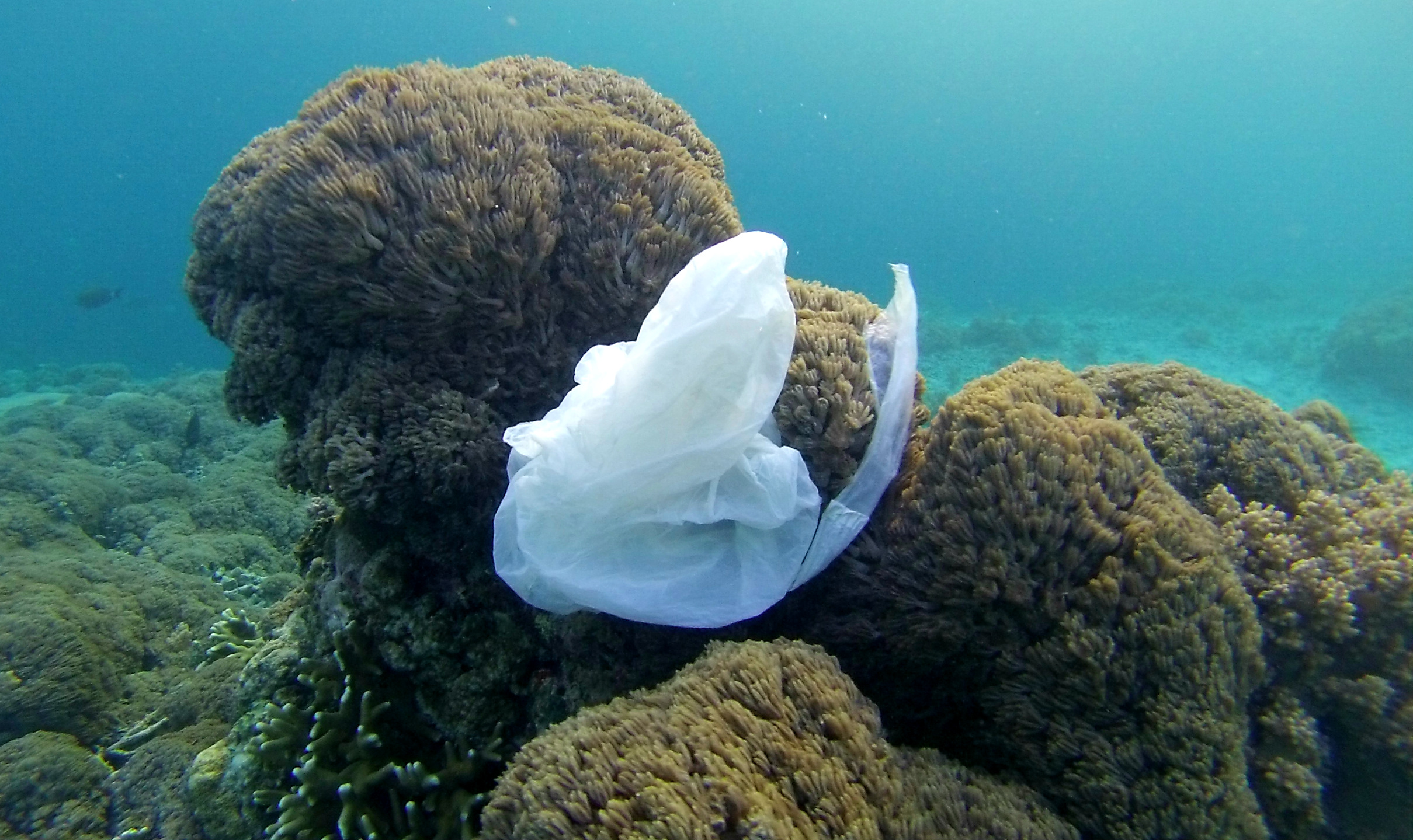 EM Plastic bag in the ocean credit Making Oceans Plastic Free