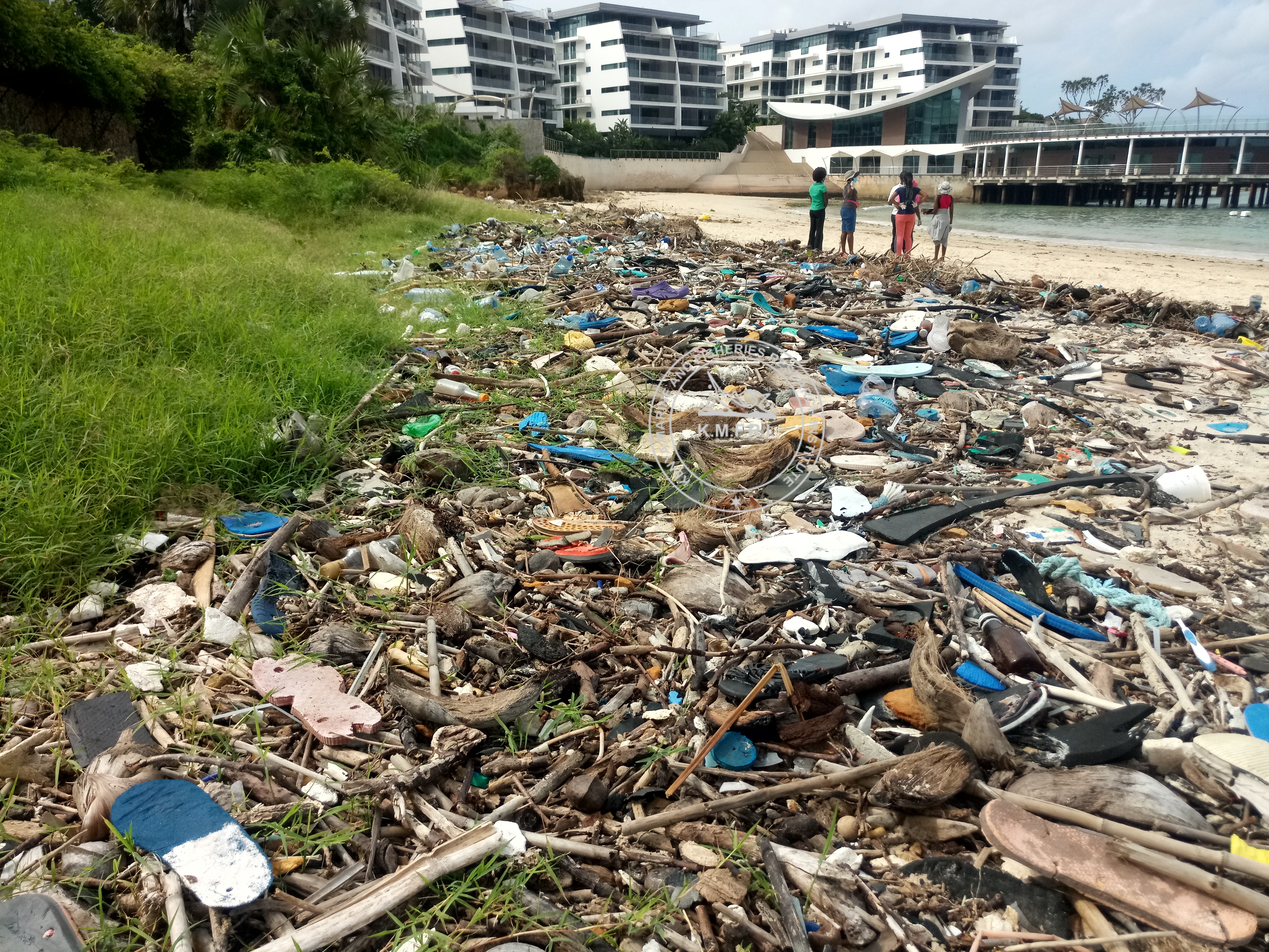 Litter accumulated in Mkomani Beach