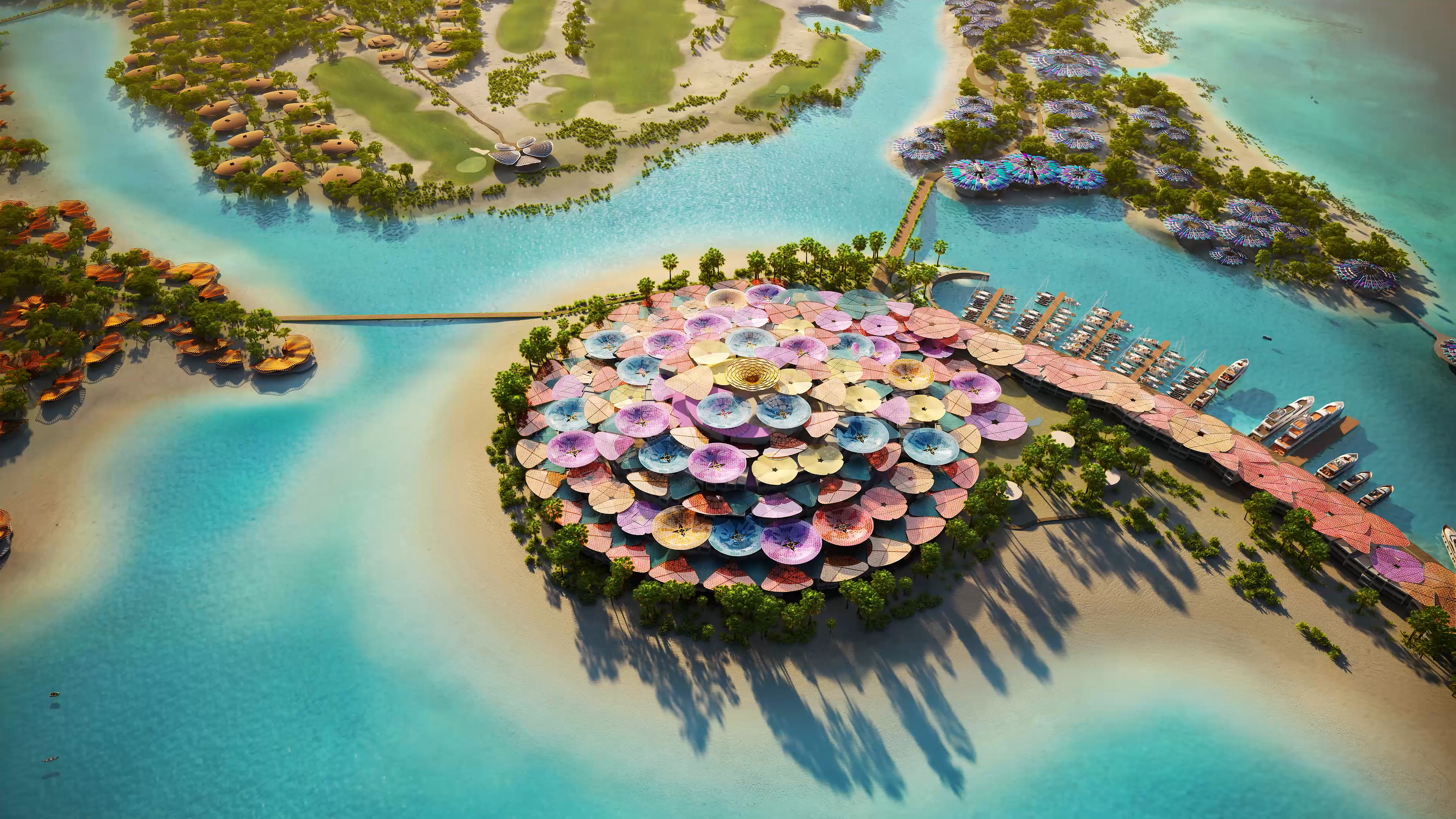 Aerial View of Coral Bloom Concept