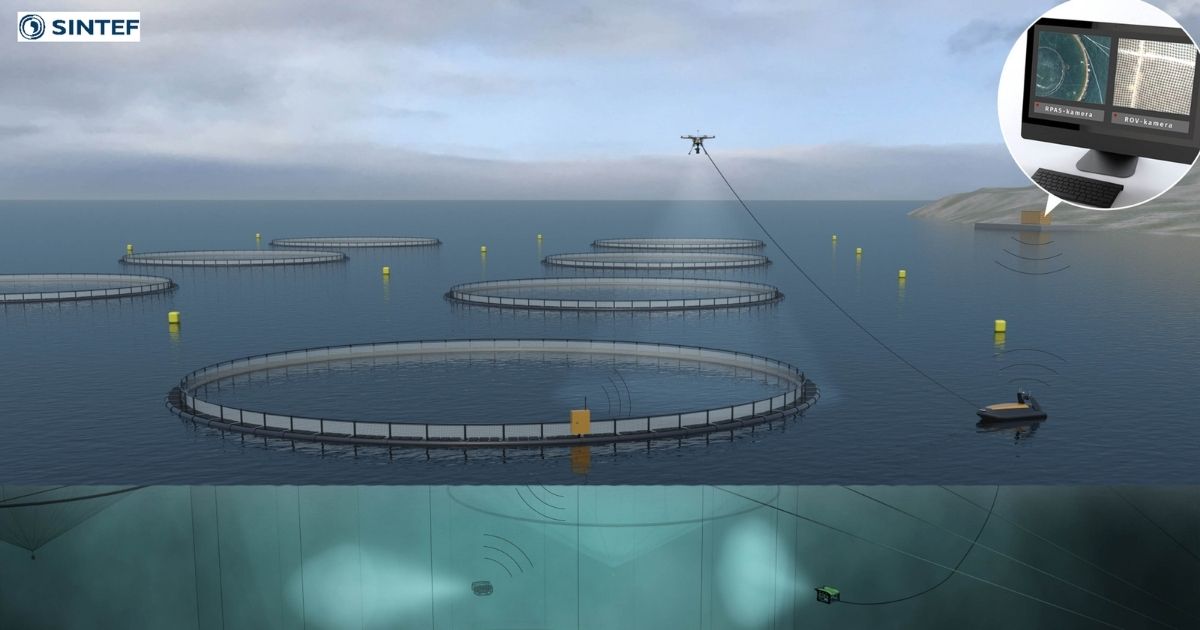 Contributing to Faster, More Efficient Aquaculture Cage Net