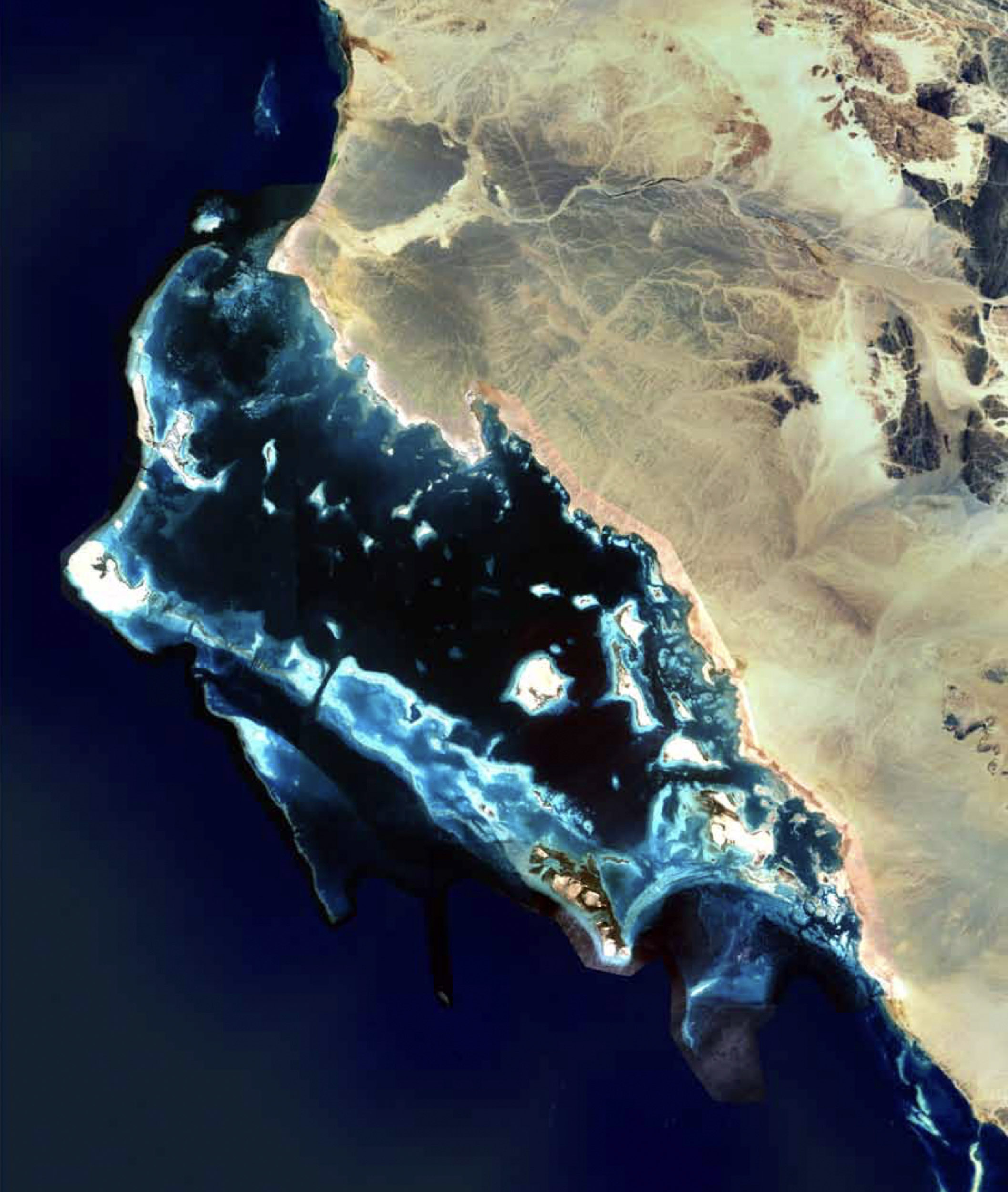 Satellite imagery of coral reefs near Al Wajh in the Saudi Arabian Red Sea