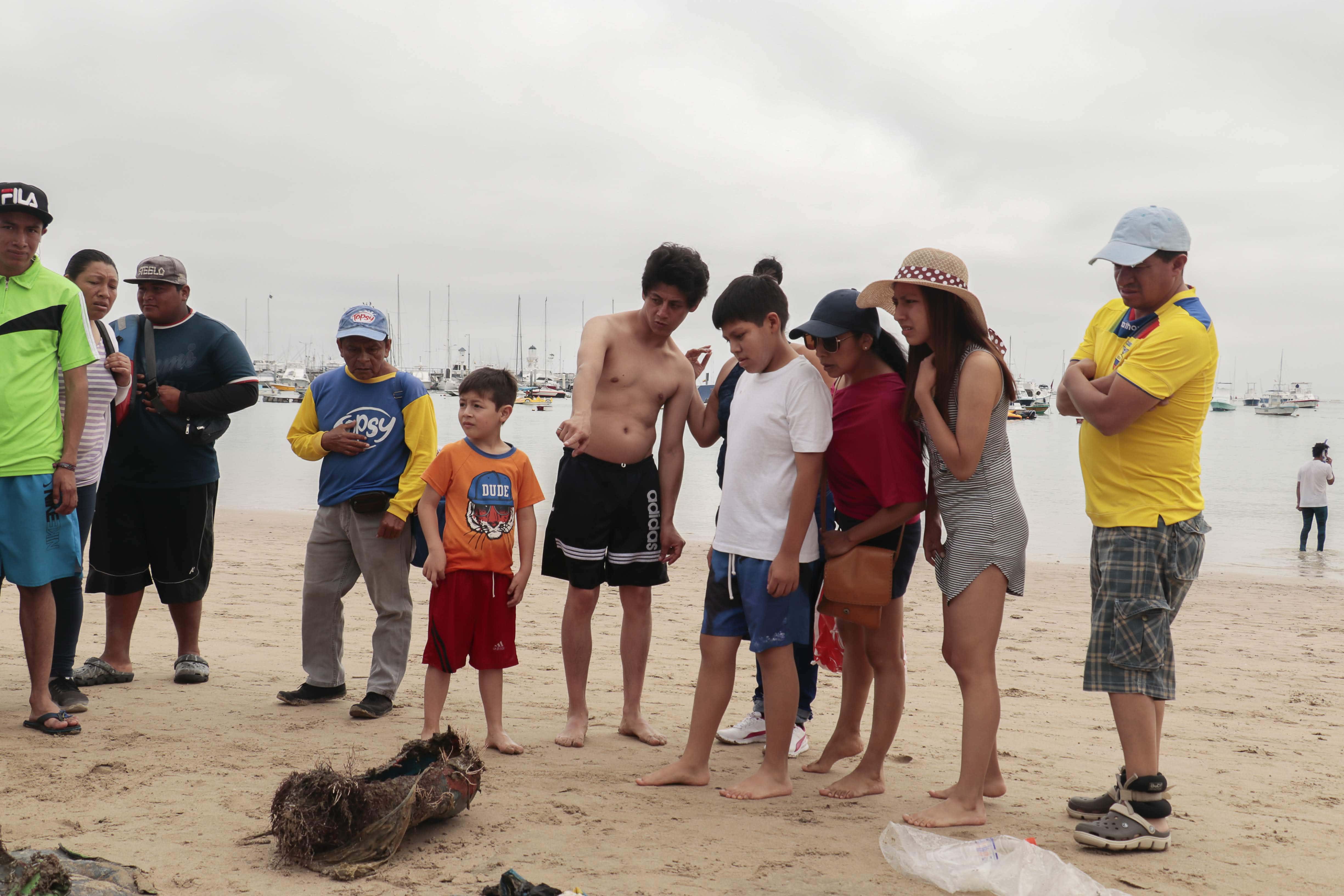 Tourists observing associated organisms to marine litter