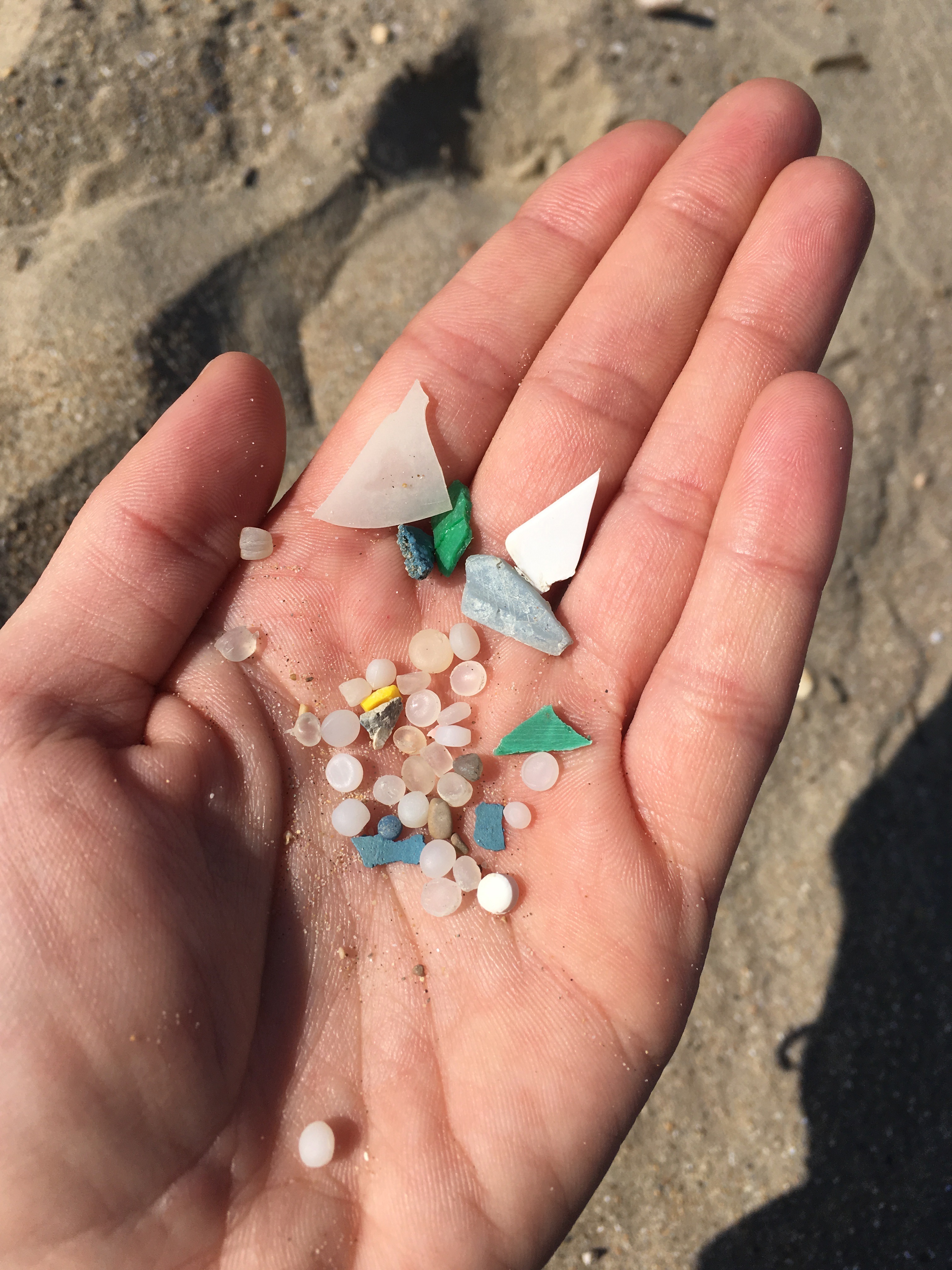 microplastics and small fragments collected during the SRAP campaign