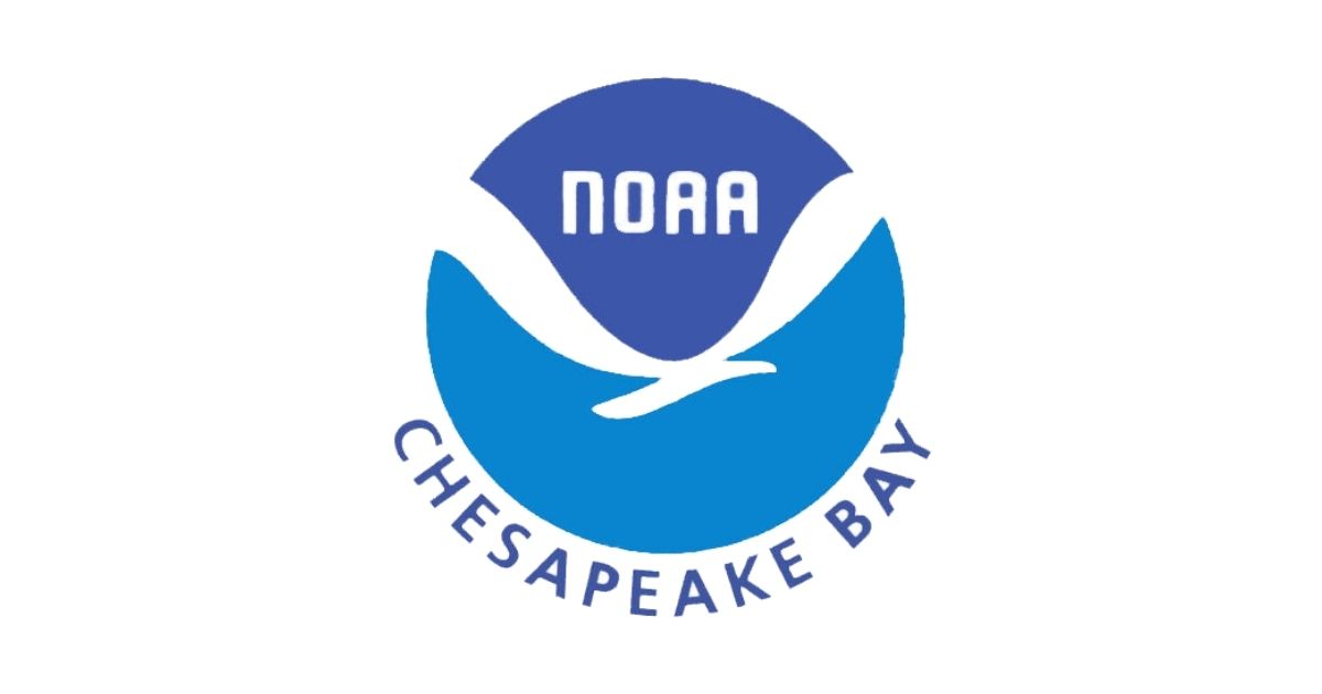 NOAA Chesapeake Bay Internships