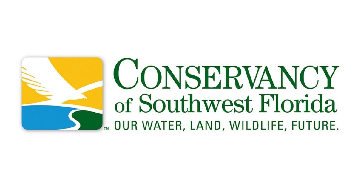 Sea Turtle Research Internship at the Conservancy of Southwest Florida