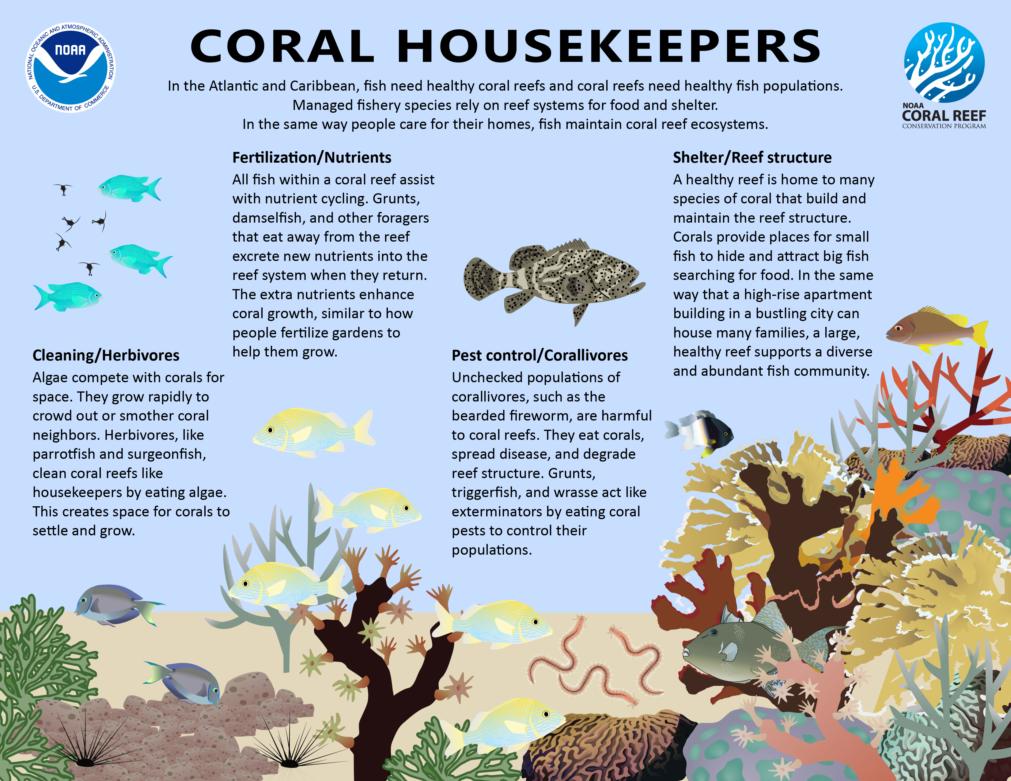 coralhousekeepers Madison Gard Hollings Scholar and Tauna Rankin NOAA CRCP Fisheries Lead
