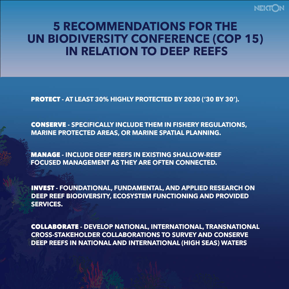 5 Recommendations for COP15 on deep reefs c Nekton 2022