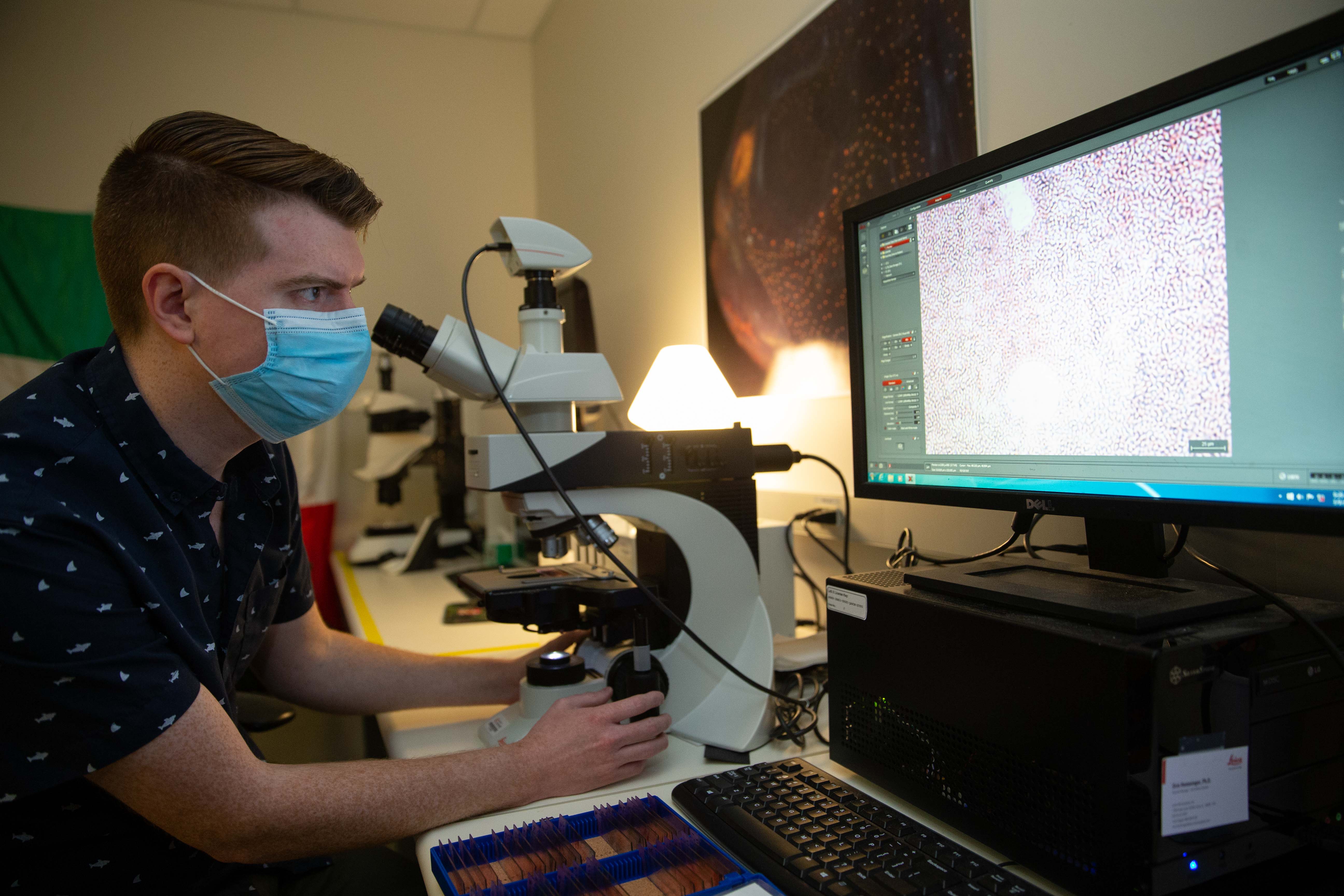 UC student Tyler Boggs and UC associate professor Joshua Gross, shown here in their lab, have new studies coming out on Mexican blind cave fish.