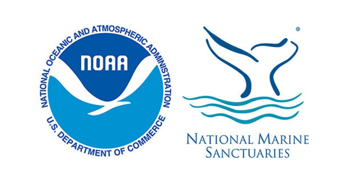 Ocean Career: Research Ecologist at NOAA National Marine Sanctuaries
