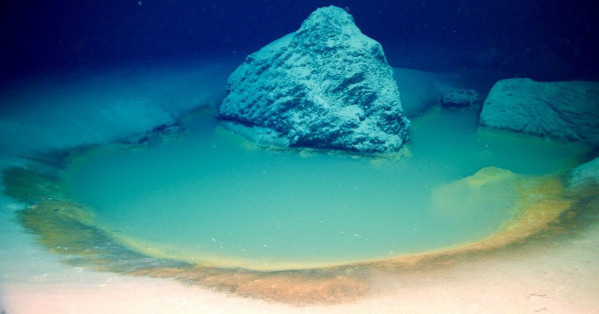 rare deep sea brine pools discovered in red sea 940x529