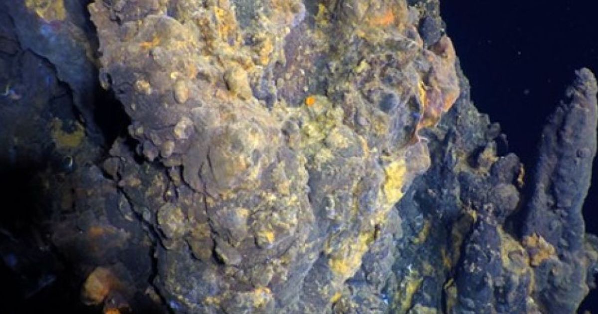 First Known Off-Axis, High-Temperature Deep Sea Hydrothermal Vents in the Pacific Ocean