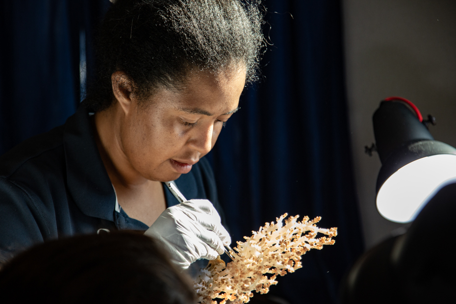 IMAGE DISTRIBUTED FOR NEKTON - Nekton Knowledge Exchange and Science Programme Manager Sheena Talma processes coral sample from submersible dive on 12th April 2019 in Desroches, Seychelles. Part of Nekton's First Descent Seychelles Expedition in 2019 which was the first systematic survey below scuba depth in Seychelles. HANDOUT IMAGE - Please see special instructions. MANDATORY CREDIT - “courtesy of Nekton”. Press release and media available to download at www.apmultimedianewsroom.com/nekton. (Sarah Hammond/Nekton via AP Images)