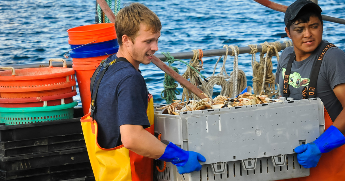 Small-Scale Fisheries: MEPs Propose Ways to Increase Revenues