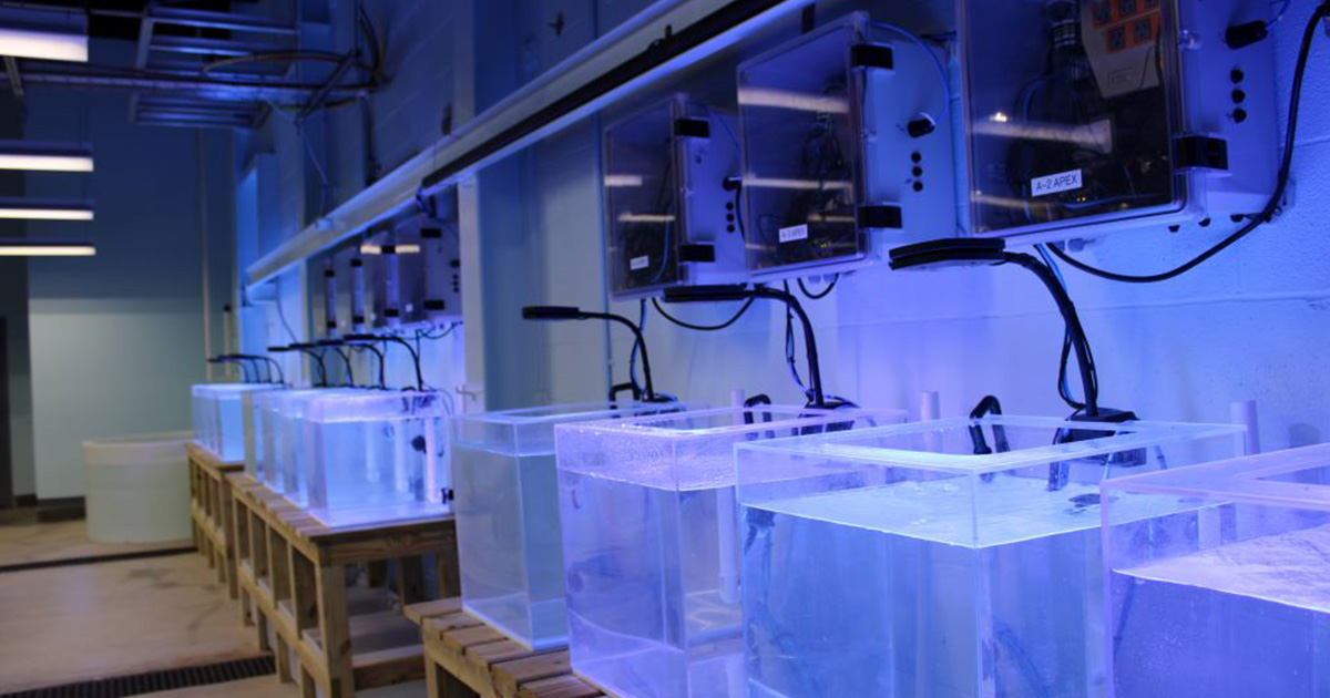 Dauphin Island Sea Lab Opens State-of-Art Water-Based Research Facility in Alabama