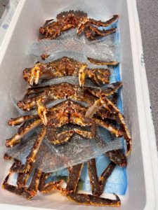 Image2 1000px Kongemat levende krabbe i kasse 225x300