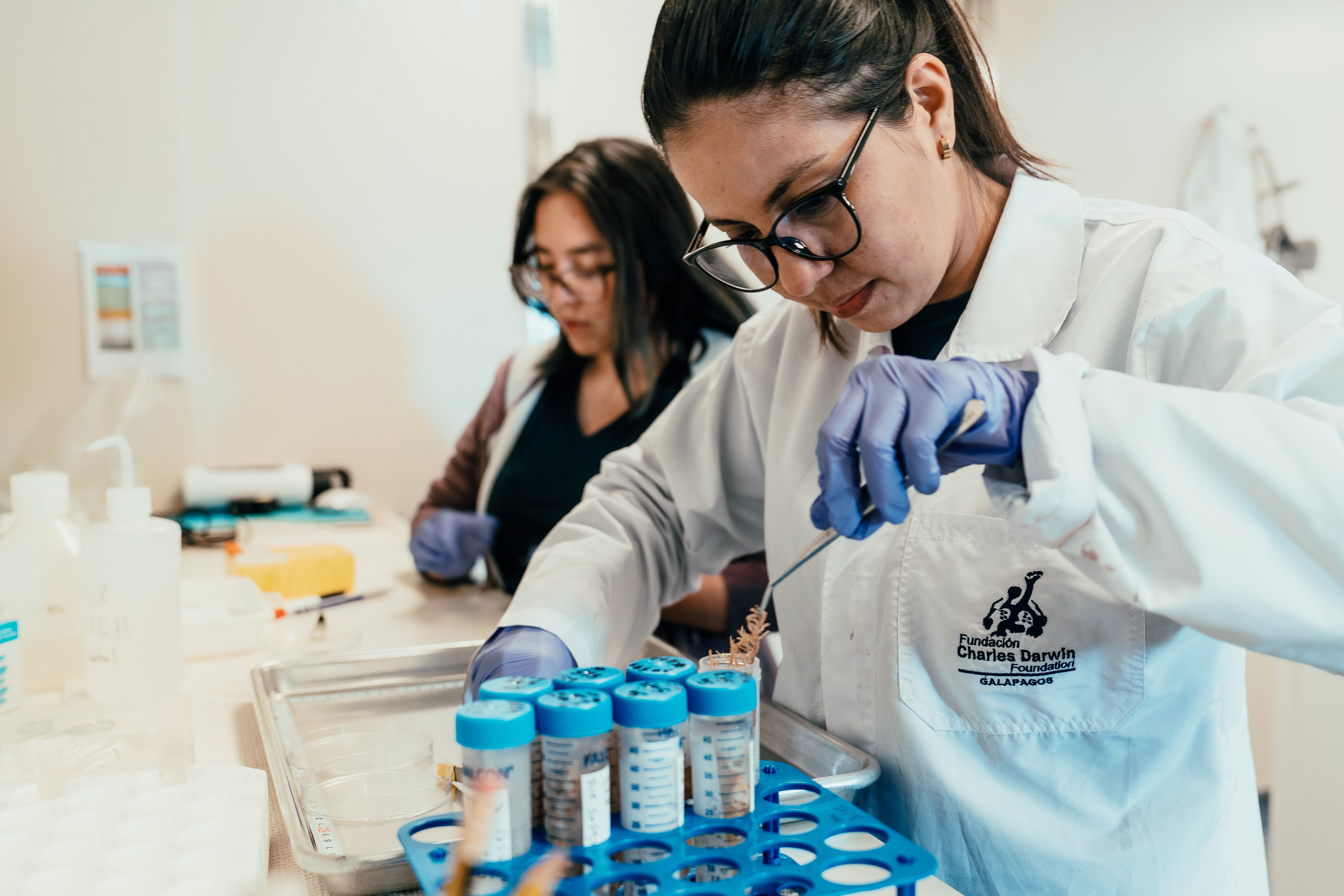 Paulina Sepa-Egas, Charles Darwin Foundation's Marine Collections Auxiliary Assistant & Assistant to the Seamounts Project of the Galapagos Marine Reserve, prepares a deep sea coral for.RNA research during the September-October 2023 expedition in the Galapafos Marine Reserve.