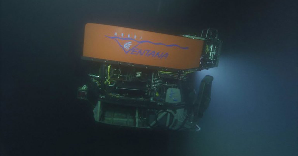 image4 ROV Ventana underwater D1235 09 cc 1150 768x427