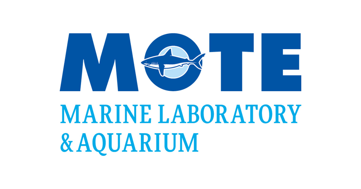 Ocean Career: Mote Marine Laboratory Photogrammetry Staff Biologist