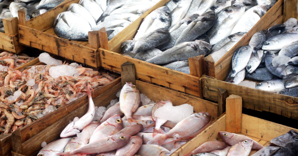 NOAA Fisheries Withdraws Proposal to Expand Seafood Import Monitoring Program