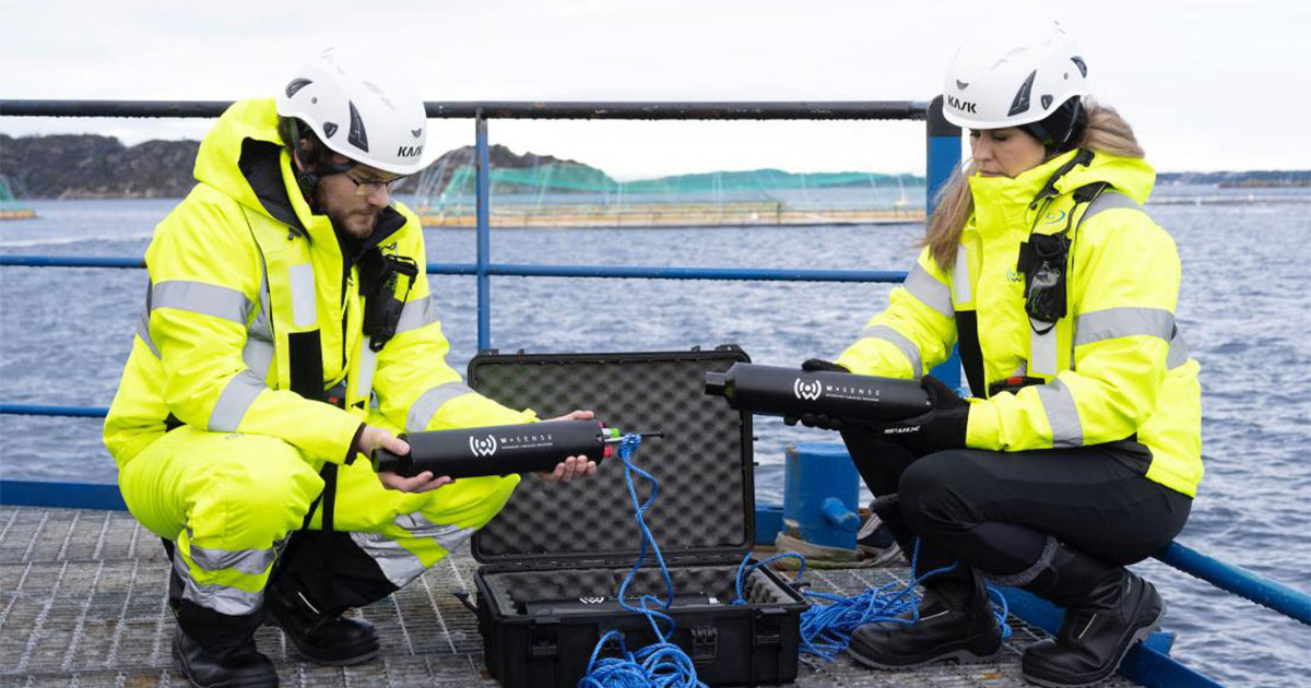 Image3 The deployment of WSense sensors at sea in Norway