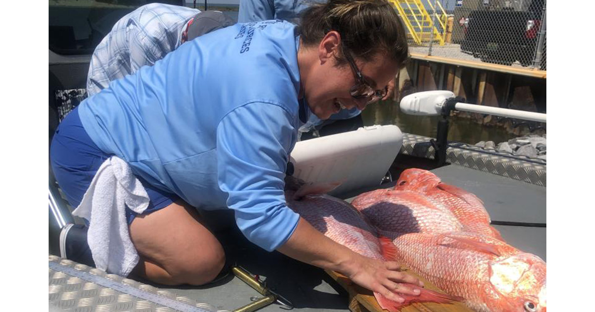 NOAA Fisheries & Partners Announce Improvements to Recreational Fishing Data Collection Ahead of Red Snapper Season