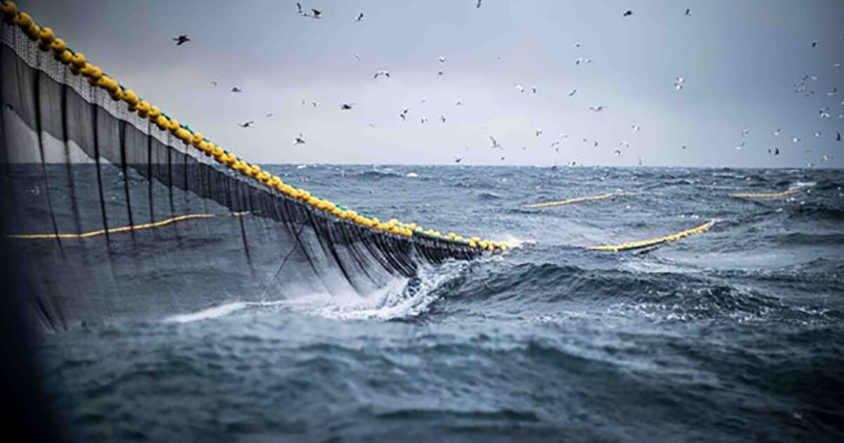 Smartrawl: AI-Empowered Fishing Net to Help Prevent Marine Bycatch, Fisheries & Aquaculture