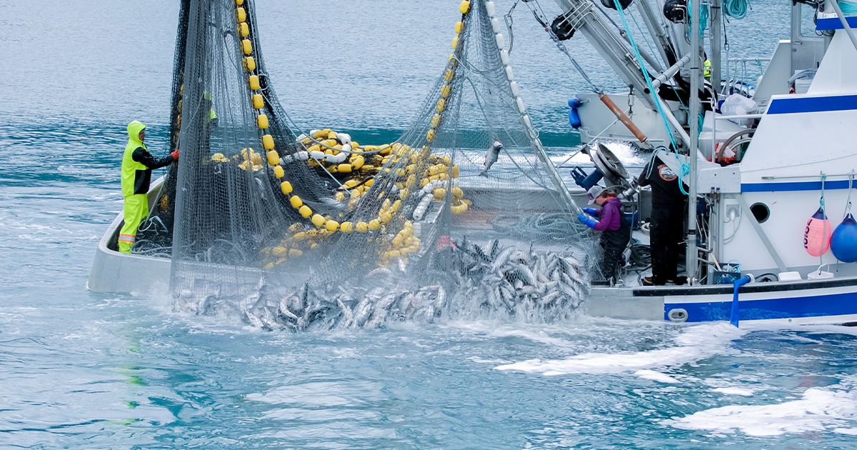 Norway's Ban on Cross-Border Fishing, Environmental Policy