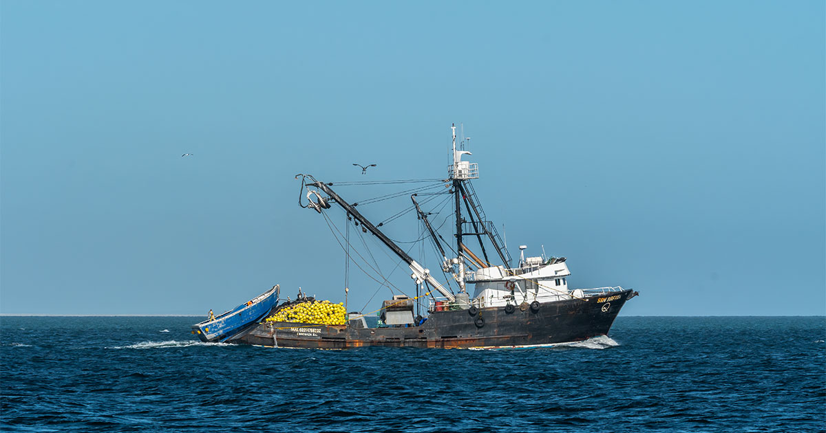 Updated Fisheries Measures in the ICCAT Area