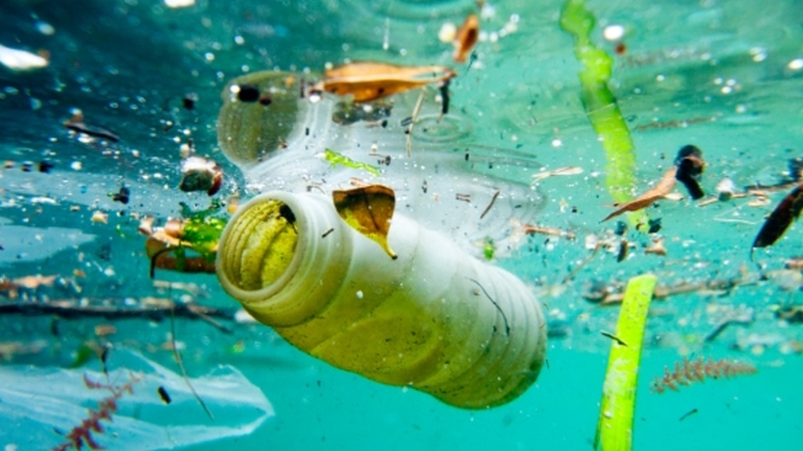 Biodegradable Plastics 
