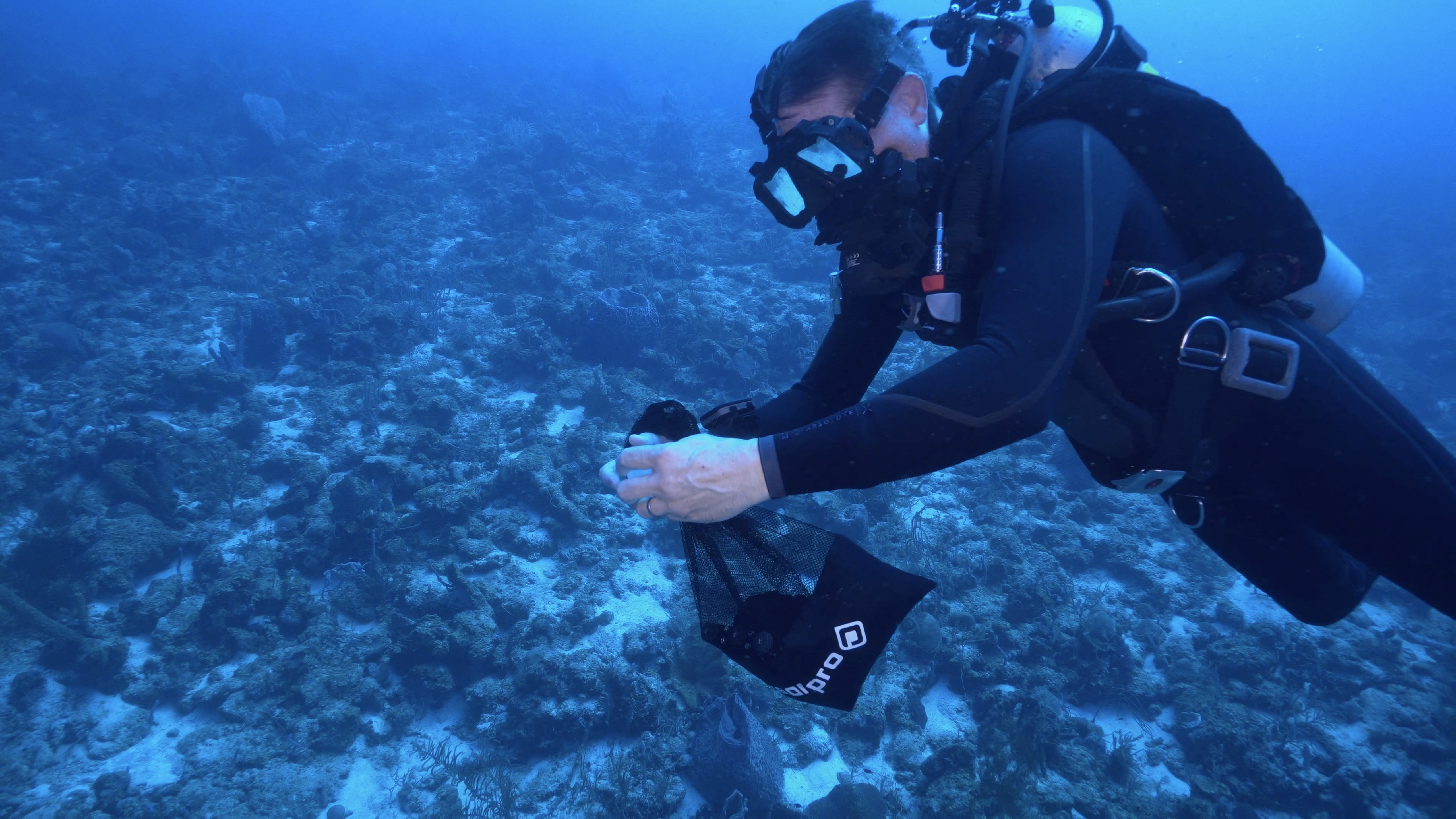 Underwater Fabien Cousteau Curacao 